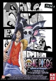 One Piece, film 9